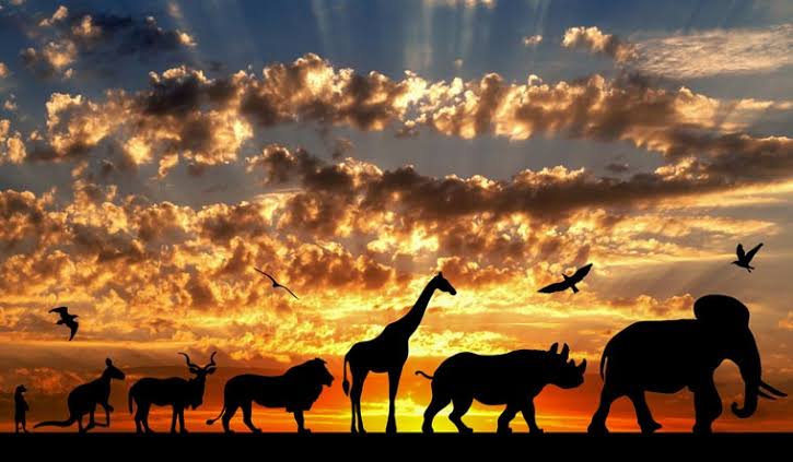 Sustainability Poem 8